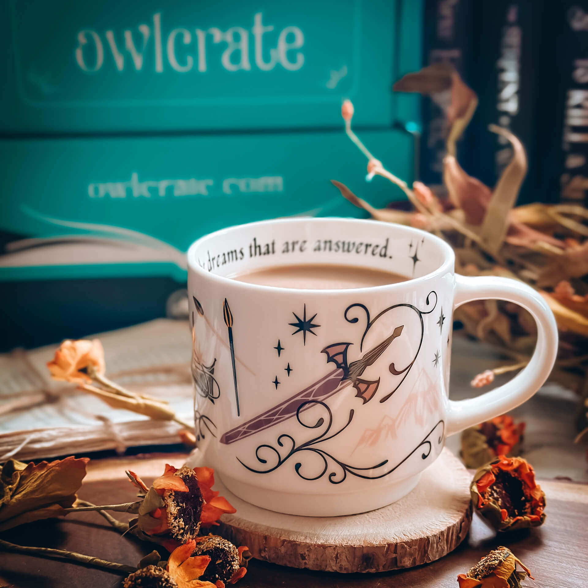 Owlcrate Harry Potter store Book 3 Mug