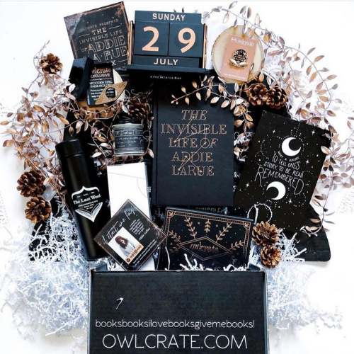 THE INVISIBLE LIFE OF ADDIE LARUE BOX - OwlCrate