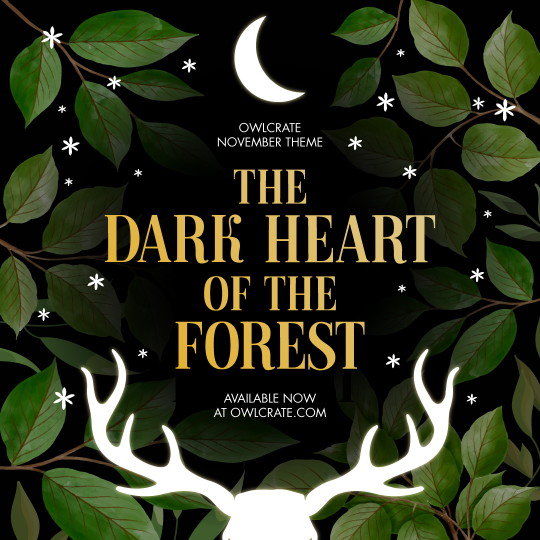 Everything You Need to Know About Our November 'The Dark Heart of the Forest' Box!